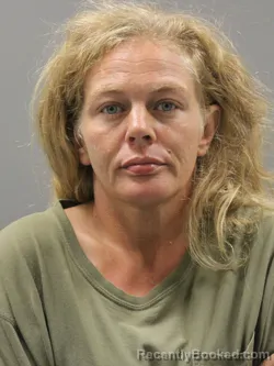 Mugshot of Christy Lynne Vess booked in Limestone County, Alabama on August 20, 2026