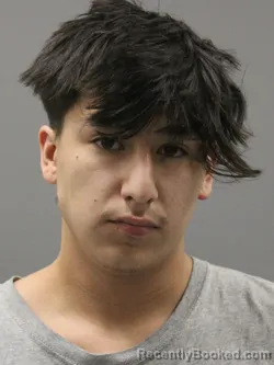 Mugshot of Jr Jose Santos Medina booked in Limestone County, Alabama on August 20, 2026