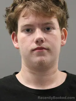 Mugshot of Payton Louis Sherrill booked in Limestone County, Alabama on August 20, 2026