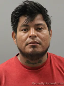 Mugshot of Remigio Everardo Colical booked in Limestone County, Alabama on August 21, 2026