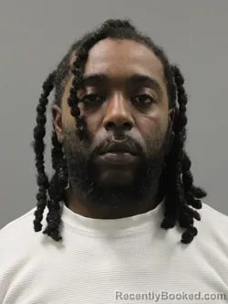 Mugshot of Rayne Christopher Wiggins booked in Limestone County, Alabama on August 21, 2026