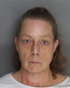 Mugshot of Amanda E Andrews booked in Berkeley County, South Carolina on August 25, 2026