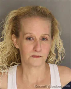 Mugshot of Amanda Faye All