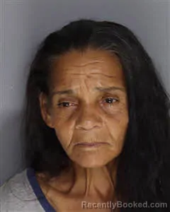 Mugshot of Cleusa Aparecida Dasilva booked in Berkeley County, South Carolina on September 15, 2026
