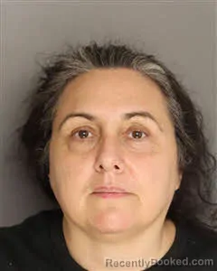 Mugshot of Heather Andres