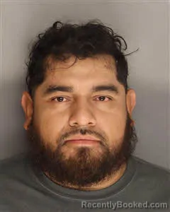 Mugshot of Jose Daniel Arroniz-Sauceda booked in Berkeley County, South Carolina on August 22, 2026