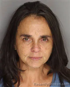 Mugshot of Susan Asaro booked in Berkeley County, South Carolina on August 7, 2026