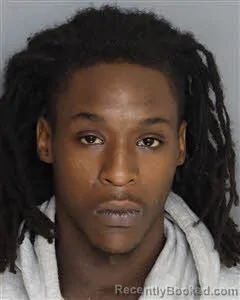 Mugshot of Tristan Anderson booked in Berkeley County, South Carolina on July 8, 2026