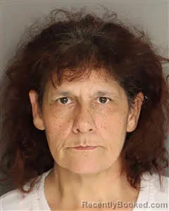 Mugshot of Brenda Renee Brogan