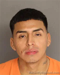 Mugshot of Luis J Benites-Ceron
