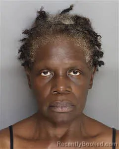 Mugshot of Lori Jinnie Brierre booked in Berkeley County, South Carolina on August 17, 2026