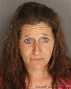 Mugshot of Lacy Lynn Brown booked in Berkeley County, South Carolina on May 6, 2026