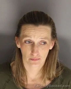 Mugshot of Michele Elizabeth Babson booked in Berkeley County, South Carolina on October 24, 2026
