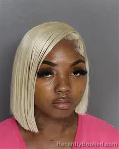 Mugshot of Michayla M Brisco booked in Berkeley County, South Carolina on June 20, 2026