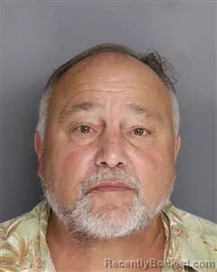 Mugshot of Raymond Bonelli booked in Berkeley County, South Carolina on July 16, 2026