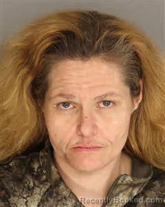 Mugshot of Hannah Elizabeth Cobb