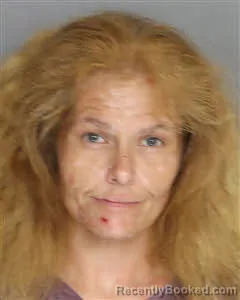 Mugshot of Hannah Elizabeth Cobb booked in Berkeley County, South Carolina on August 7, 2026