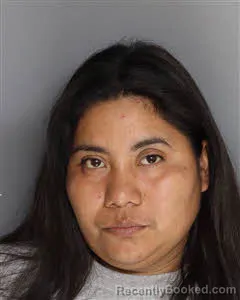 Mugshot of Magalli Amandali Carrillo-Gomez booked in Berkeley County, South Carolina on May 22, 2026