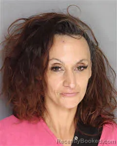 Mugshot of Stephanie Faye Christ booked in Berkeley County, South Carolina on August 19, 2026