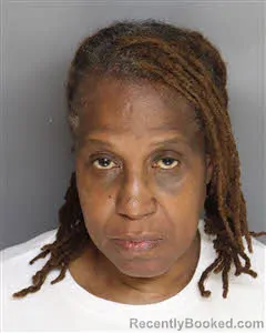 Mugshot of Zavia Ann Collins booked in Berkeley County, South Carolina on September 25, 2026