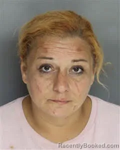 Mugshot of Cynthia Donna Ann Droze booked in Berkeley County, South Carolina on September 30, 2026