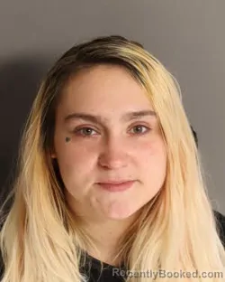 Mugshot of Cheyanne Ruth Dilley