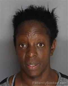 Mugshot of Donna Lee Delesline-Tucker booked in Berkeley County, South Carolina on August 16, 2026