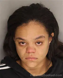 Mugshot of Keyara Michelle Dickinson booked in Berkeley County, South Carolina on April 20, 2026