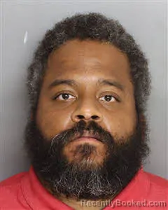 Mugshot of Nathaniel Chris David booked in Berkeley County, South Carolina on August 19, 2026