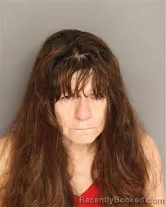 Mugshot of Patricia Ann Elhoff booked in Berkeley County, South Carolina on June 23, 2026