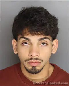 Mugshot of Andrey Ferreria-Munhoz booked in Berkeley County, South Carolina on September 27, 2026