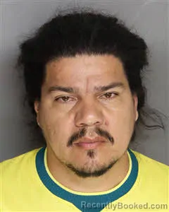 Mugshot of Adriano Ferreir Da Silva booked in Berkeley County, South Carolina on June 20, 2026