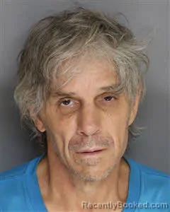 Mugshot of Daniel Scott Farmer booked in Berkeley County, South Carolina on July 2, 2026