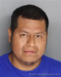 Mugshot of Mayolo Antonio Frerer booked in Berkeley County, South Carolina on July 3, 2026