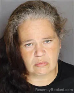 Mugshot of Megan Elizabeth Fargo booked in Berkeley County, South Carolina on August 2, 2026