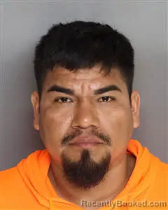 Mugshot of Ricardo Flores-Canales booked in Berkeley County, South Carolina on August 18, 2026