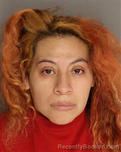 Mugshot of Roxana Fabiola Flores-Garcia