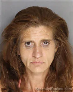 Mugshot of Tracy Anne Freeman booked in Berkeley County, South Carolina on July 7, 2026