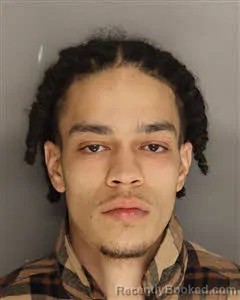 Mugshot of Tyree Dashaun Flagler