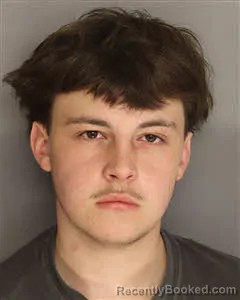 Mugshot of Anthony D Gorsche