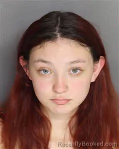 Mugshot of Emilia Taylor Graziano booked in Berkeley County, South Carolina on August 5, 2026