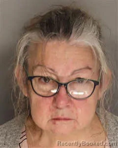 Booking photo from Berkeley County, South Carolina