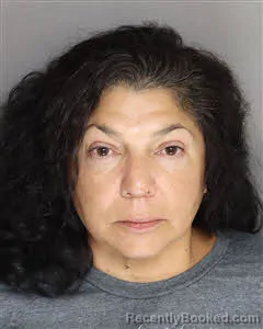 Mugshot of Rena Michelle Garcia booked in Berkeley County, South Carolina on August 11, 2026