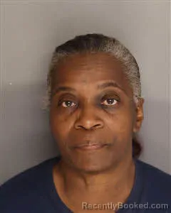 Mugshot of Sylvia Jean Gray booked in Berkeley County, South Carolina on April 10, 2026