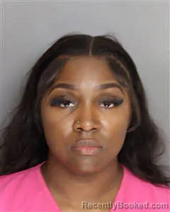 Mugshot of ASHANTE HAMILTON booked in Berkeley County, South Carolina on May 17, 2026