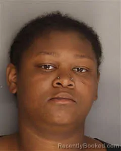 Mugshot of Alyson Ellison Heyward booked in Berkeley County, South Carolina on April 20, 2026