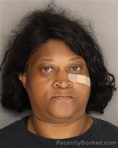 Mugshot of Abatina Joy Heyward booked in Berkeley County, South Carolina on April 20, 2026