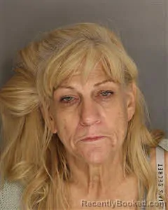 Mugshot of Deborah Hodom-Seiber