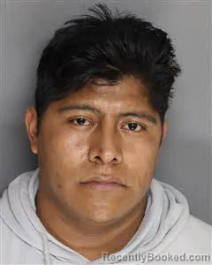 Mugshot of Emiliano Perez Hernandez booked in Berkeley County, South Carolina on June 28, 2026