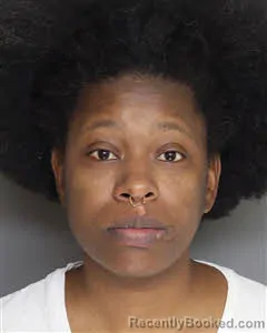 Mugshot of Fashinette Lastine Hamilton booked in Berkeley County, South Carolina on May 8, 2026